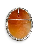 Spilla Mandile 1922 Donna Cammei  in Argento Conchiglia 2MSPCM35.4.26 - 2MSPCM35.4.26